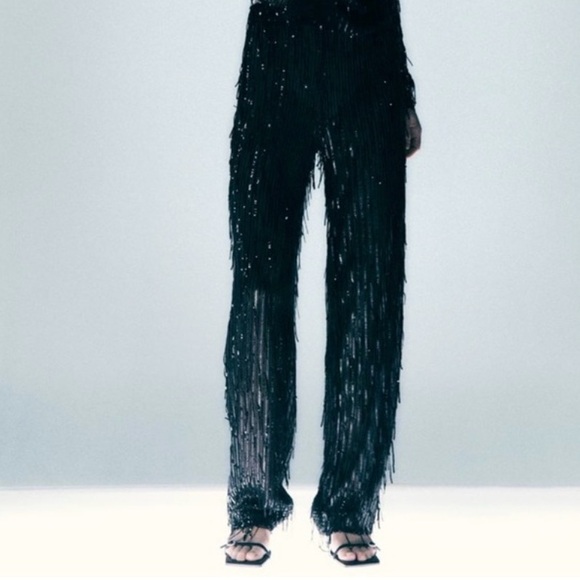NEW Zara Fringe Sequins Pants - Picture 2 of 4